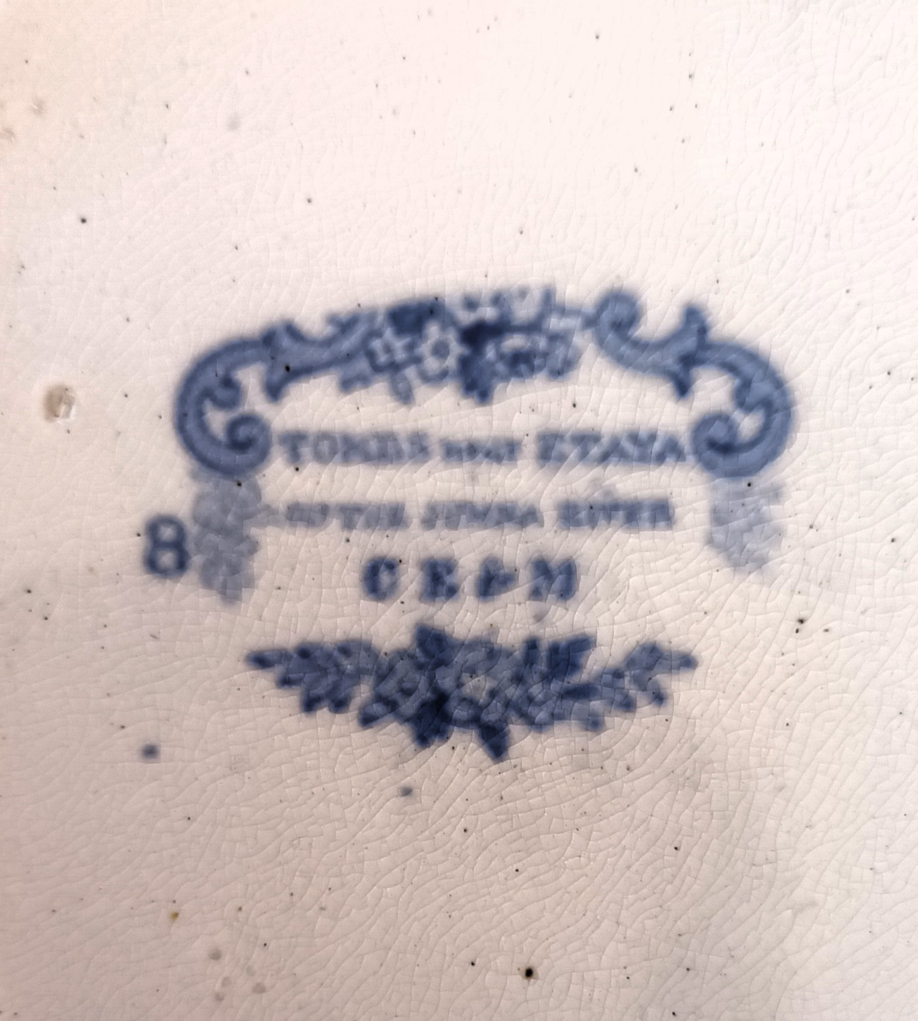 Antique English Victorian Blue and White Transfer Plate ~ “Tombs near Etaya” ~ Cork Edge & Malkin Antique Ceramics 5